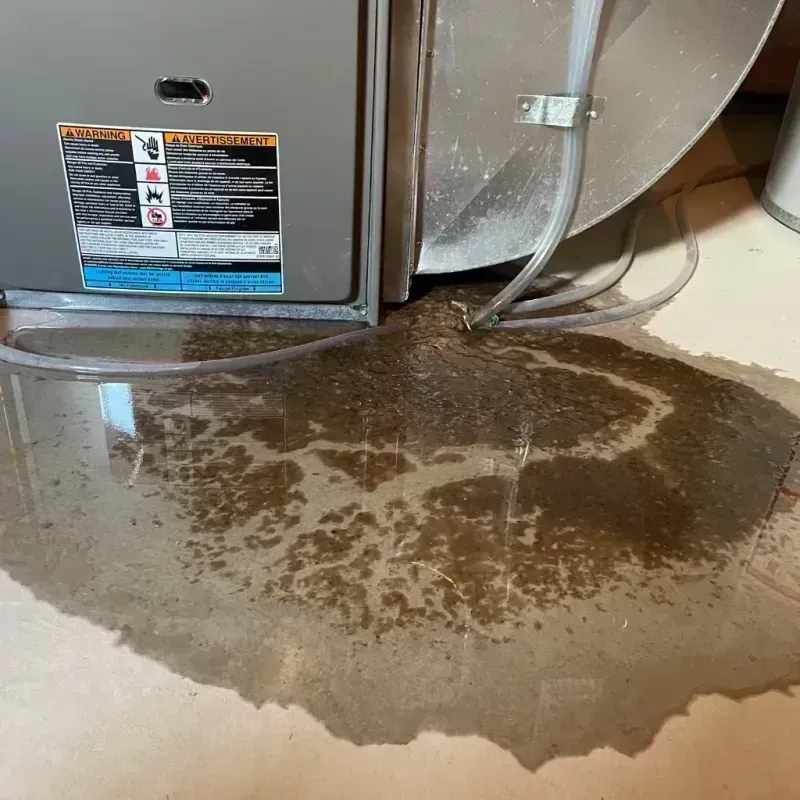 Appliance Leak Cleanup in Greenup, KY